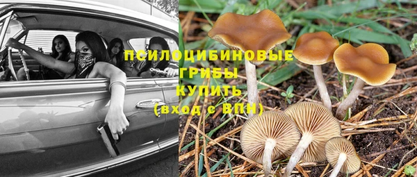 мдпв Волосово
