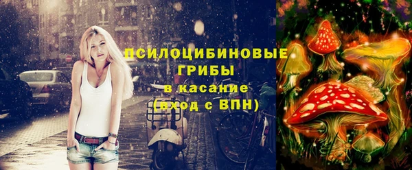 стафф Волоколамск