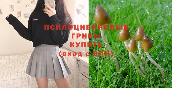 стафф Волоколамск