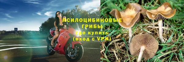 мдпв Володарск
