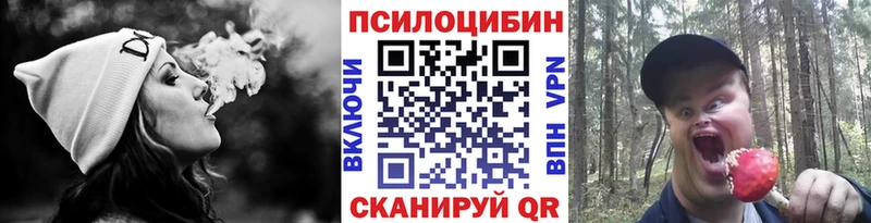Псилоцибиновые грибы ЛСД Купить закладки Галич